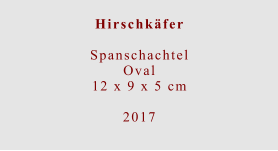 Hirschkäfer  Spanschachtel Oval12 x 9 x 5 cm  2017